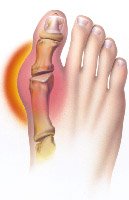 gouterly.jpg (8515 bytes)